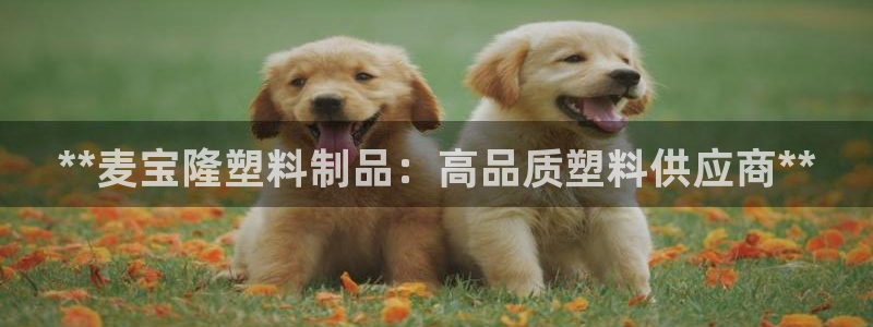 太阳集团控股有限公司：**麦宝隆塑料制品：高品质塑料供应商*