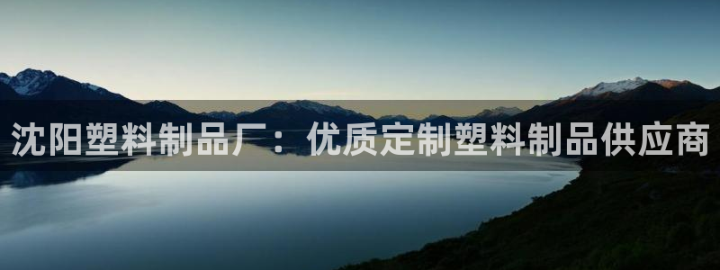 太阳c集团：沈阳塑料制品厂：优质定制塑料制品供应商