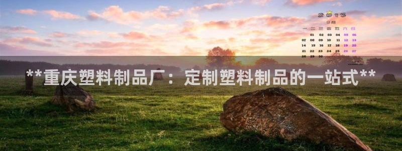 太阳集团游戏官网：**重庆塑料制品厂：定制塑料制品的一站式*