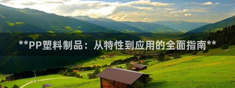 太阳gg登录地址：**PP塑料制品：从特性到应用的全面指南*