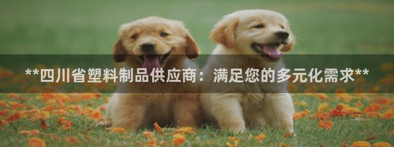 太阳集团城网址娱网 - 太阳集团电子游戏：**四川省塑料制品