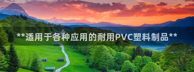 太阳gg注册地址：**适用于各种应用的耐用PVC塑料制品**