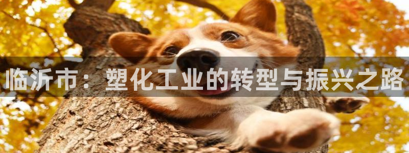 太阳集团所有网址16877：临沂市：塑化工业的转型与振兴之路