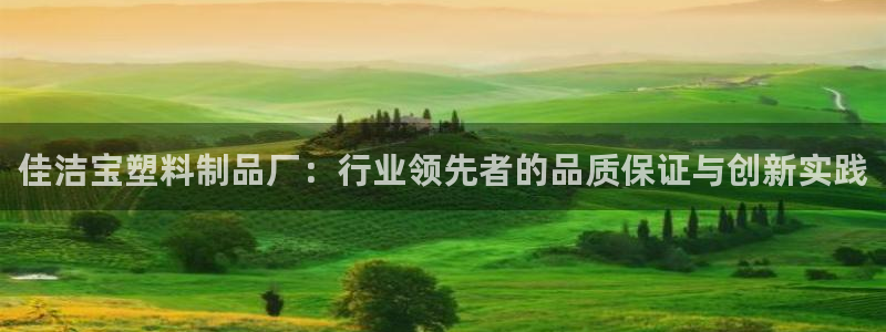 太阳成集团tyc7111cc的研发体系：佳洁宝塑料制品厂：行