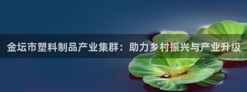 太阳集团控股有限公司：金坛市塑料制品产业集群：助力乡村振兴与
