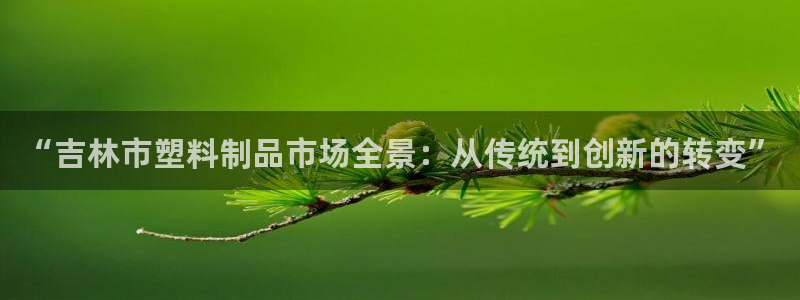太阳诚集团有限公司是国企吗还是央企：“吉林市塑料制品市场全景