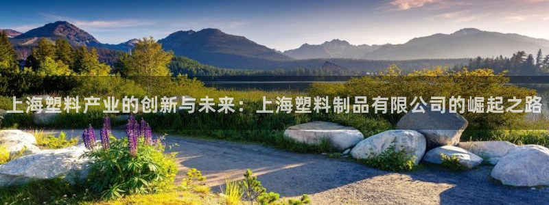 太阳成集团是什么：上海塑料产业的创新与未来：上海塑料制品有限