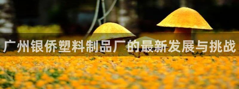 太阳1城集团网址是多少：广州银侨塑料制品厂的最新发展与挑战