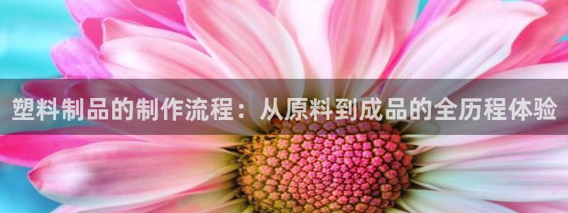 太阳集团游戏城1382：塑料制品的制作流程：从原料到成品的全