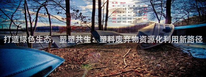 太阳 官网：打造绿色生态，塑塑共生：塑料废弃物资源化利用新路