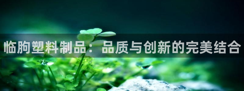 太阳集团董事长的儿子照片：临朐塑料制品：品质与创新的完美结合