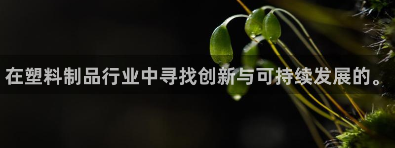 太阳集团城2017：在塑料制品行业中寻找创新与可持续发展的。