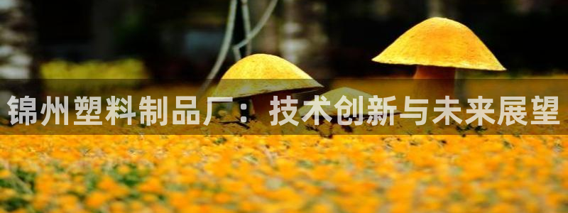 8827太阳集团：锦州塑料制品厂：技术创新与未来展望