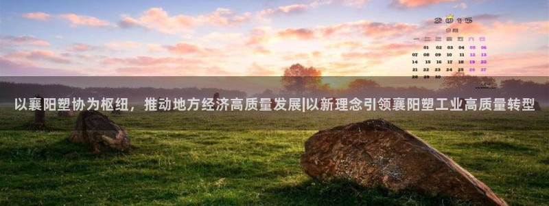 太阳集团所有网址16877：以襄阳塑协为枢纽，推动地方经济高