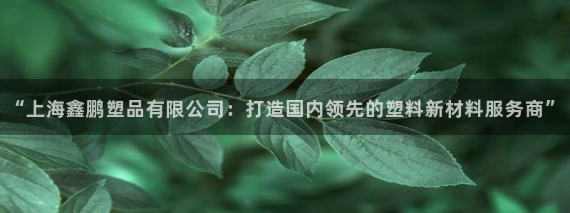 太阳集团网站入口：“上海鑫鹏塑品有限公司：打造国内领先的塑料