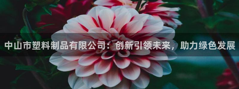 太阳集团总裁：中山市塑料制品有限公司：创新引领未来，助力绿色