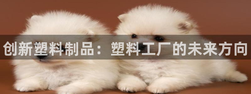 太阳集团城娱138：创新塑料制品：塑料工厂的未来方向
