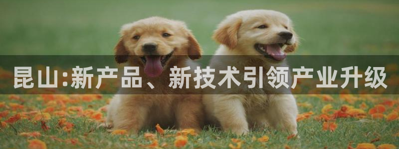 太阳集团城welcome：昆山:新产品、新技术引领产业升级