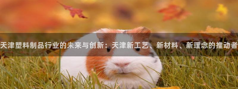 太阳集团网址8722：天津塑料制品行业的未来与创新：天津新工
