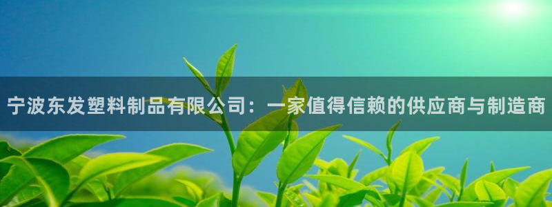 太阳gg平台地址：宁波东发塑料制品有限公司：一家值得信赖的供