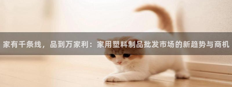 太阳成集团电影：家有千条线，品到万家利：家用塑料制品批发市场