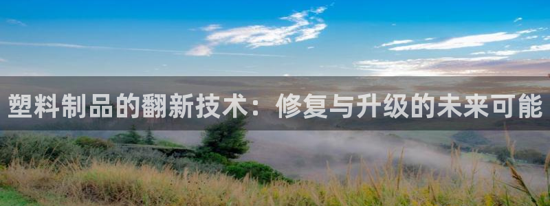 太阳诚集团有限公司有多少人：塑料制品的翻新技术：修复与升级的