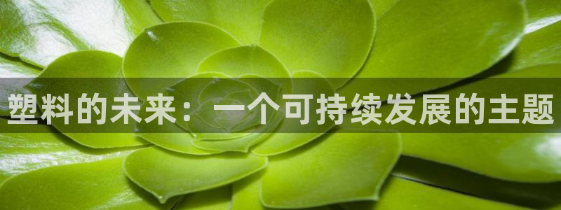 太阳app软件：塑料的未来：一个可持续发展的主题