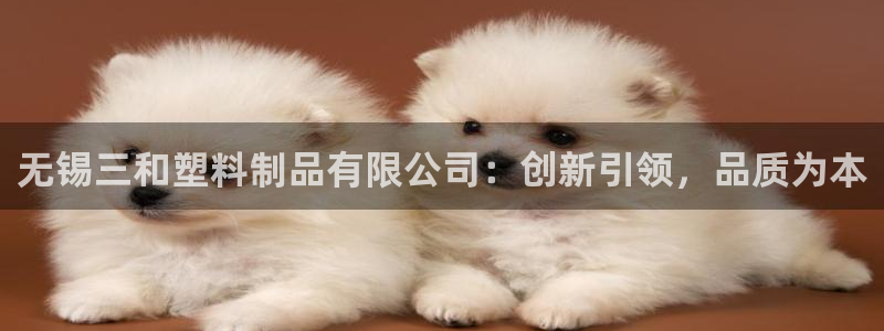 江苏太阳集团冷青松：无锡三和塑料制品有限公司：创新引领，品质