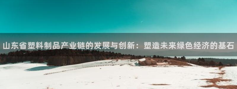 太阳1城集团网址是多少：山东省塑料制品产业链的发展与创新：塑