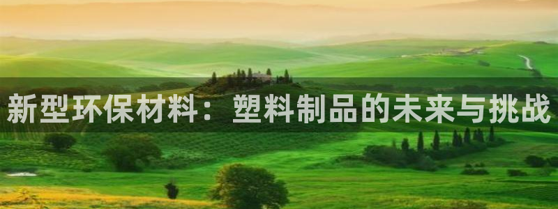 太阳集市网上商城：新型环保材料：塑料制品的未来与挑战