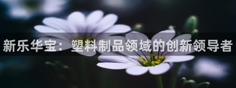 太阳成集团tyc33455cc：新乐华宝：塑料制品领域的创新