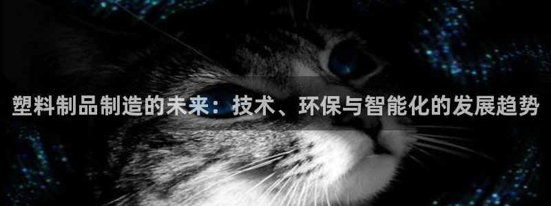 太阳app软件：塑料制品制造的未来：技术、环保与智能化的发展