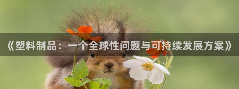 太阳集团主要是做什么的：《塑料制品：一个全球性问题与可持续发
