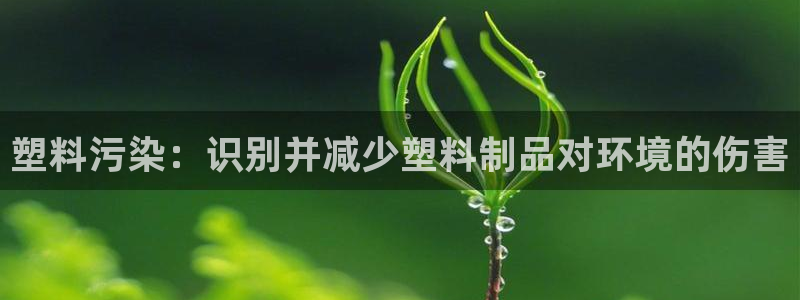 太阳集团城网站2：塑料污染：识别并减少塑料制品对环境的伤害