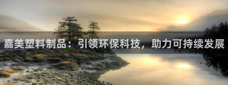 江苏太阳集团冷青松：嘉美塑料制品：引领环保科技，助力可持续发