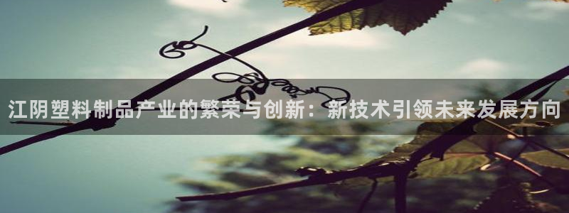 太阳成集团客服：江阴塑料制品产业的繁荣与创新：新技术引领未来