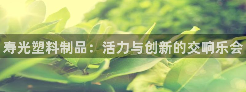 太阳集团股份有限公司是国企吗：寿光塑料制品：活力与创新的交响