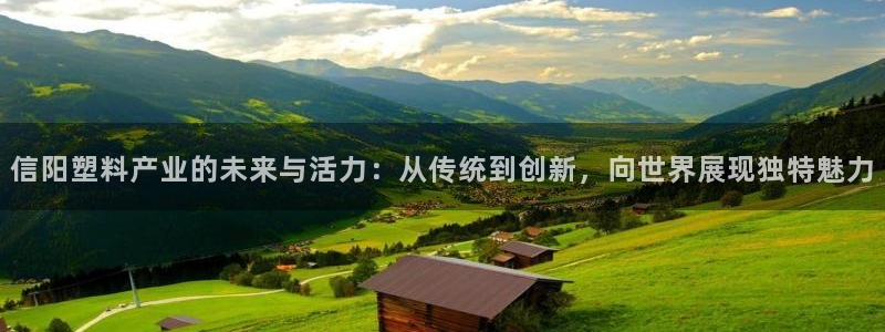 太阳gg登录地址：信阳塑料产业的未来与活力：从传统到创新，向